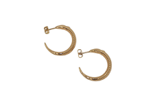 Load image into Gallery viewer, Sardine Hoops
