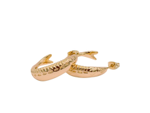 Load image into Gallery viewer, Sardine Hoops