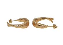 Load image into Gallery viewer, Sardine Hoops