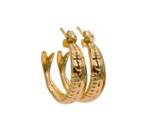 Load image into Gallery viewer, Sardine Hoops