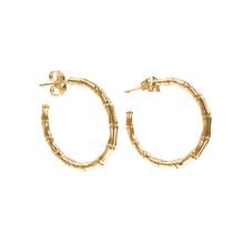 Load image into Gallery viewer, Delicate Bamboo inspired hoops