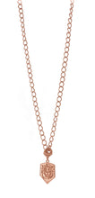 Load image into Gallery viewer, The Wildcat Pendant