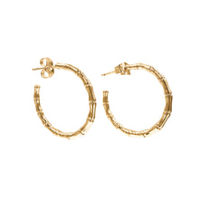 Load image into Gallery viewer, Delicate Bamboo inspired hoops
